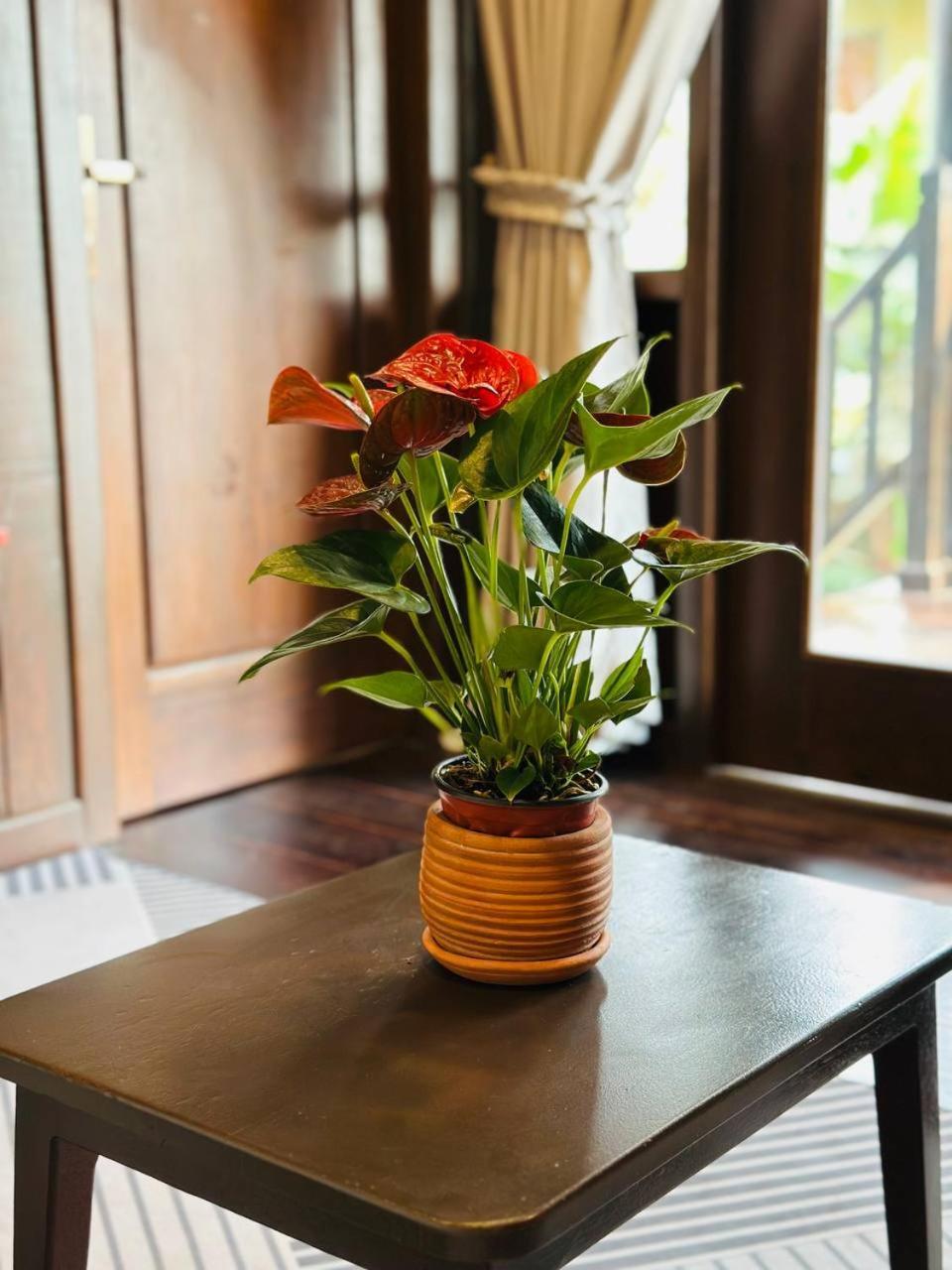 Roya Khmer Homestay Siem Reap Zewnętrze zdjęcie