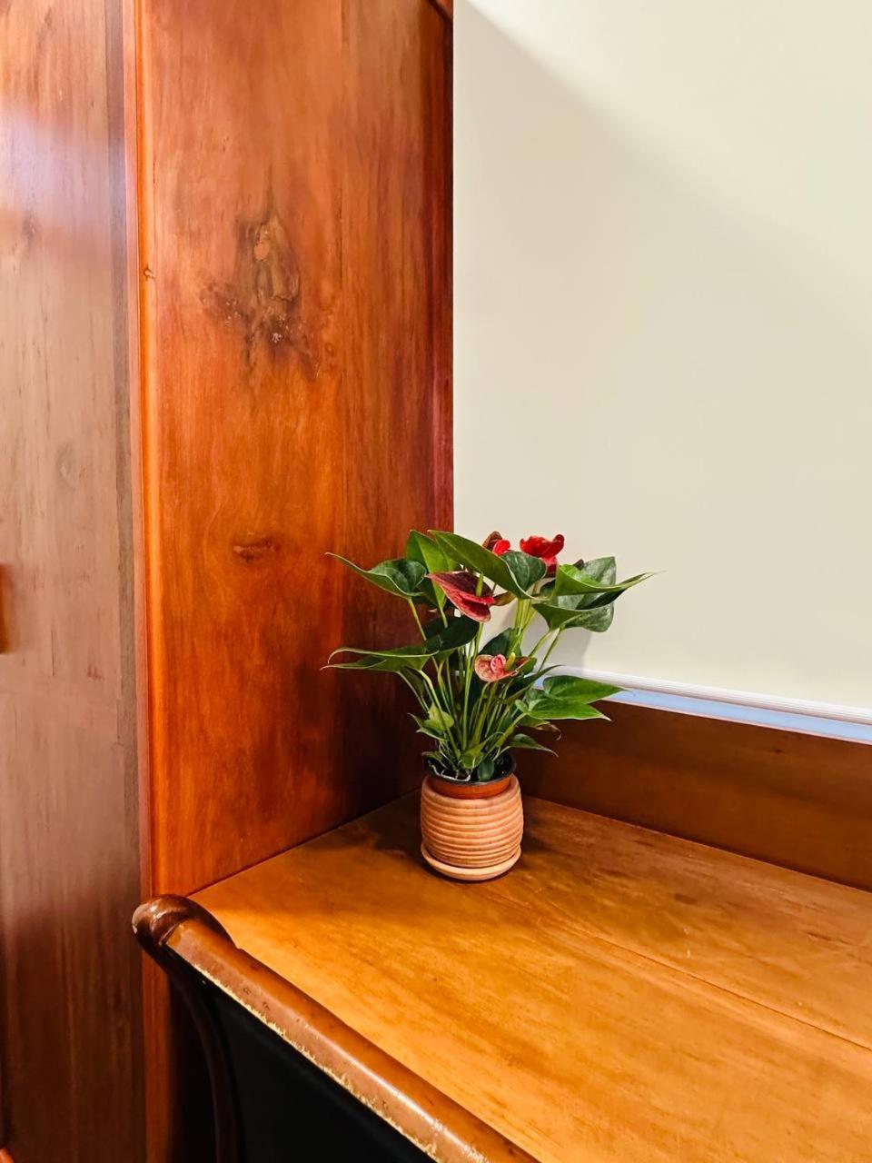 Roya Khmer Homestay Siem Reap Zewnętrze zdjęcie